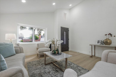 Example of a living room design in San Francisco