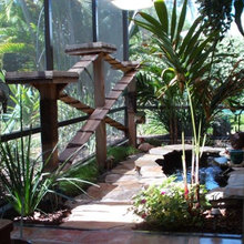 Gatis - Casa dos gatos