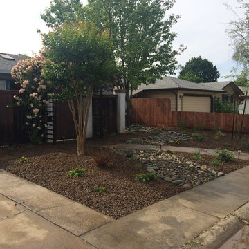 Turf removal