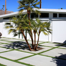 Mid Century Modern Houses