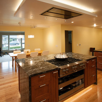 Rangehood necessitated ceiling drop box, exterior blower keeps noise low