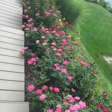 DG Residential