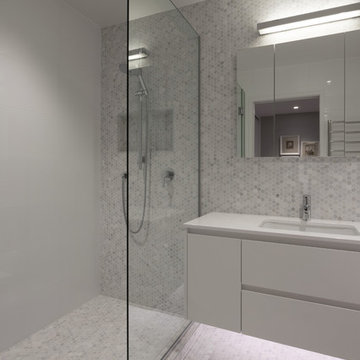 Takapuna Apartment