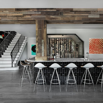 Turtle Lake idea ShowHouse
