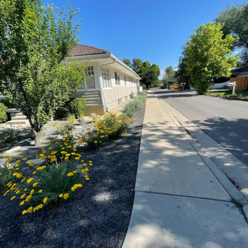 Midvale Xeriscape