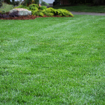 Norman, OK Landscaping Renovation