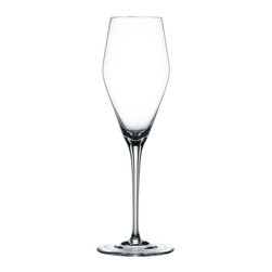 Vinova 9.88 oz. Champagne Glasses in Clear (Set of 4) - Wine Glasses
