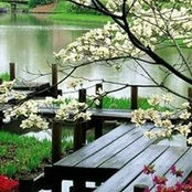 Tere de Bukele's photo