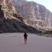 Julia Purcell's photo