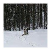 Paula Thibault Acorace's photo