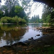 Kelly Behnke's photo