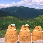 Eri Kawauchi's photo