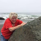 Sue Seigel's photo