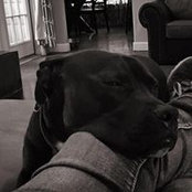 Theresa Johnson's photo
