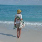 Kathy Brandt's photo