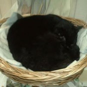Anouk Alibert's photo