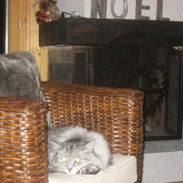 Cozy Ski Chalet Apartment - Valais