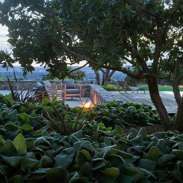 Sonoma Vineyard Estate