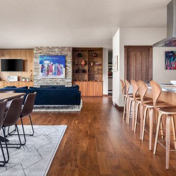 Mid century modern Living room