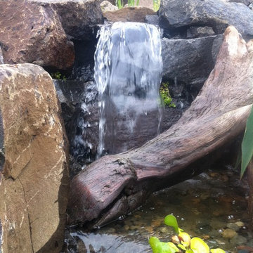 Noel and Nancy's Pond Makeover - Little Falls from Wetland Filter