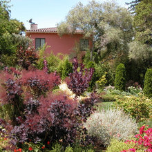 Seasonal Gardens