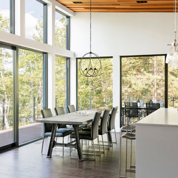 Dining room and kitchen island