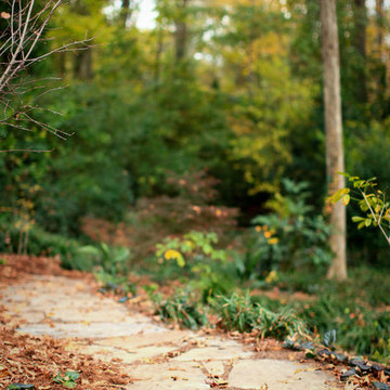 winding stone path