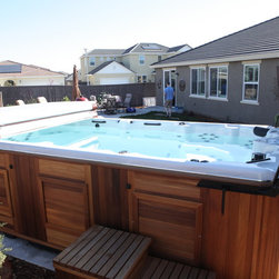Swim Spas - Lifestyle And Leisure