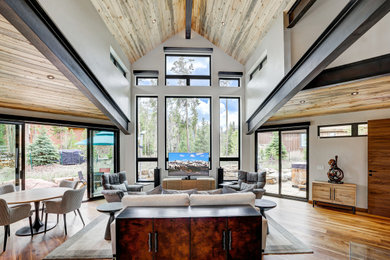 Example of a mountain style living room design in Other