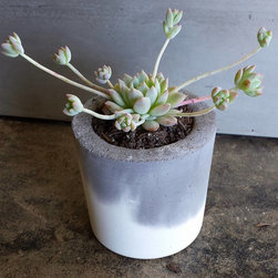 Home Decor - 商品
