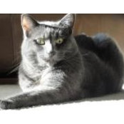 Deb Arrowood's photo