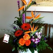Netty Girard's photo