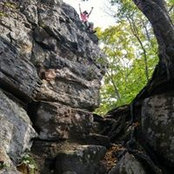 Andrew Halvorsen's photo