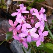 Tracy Darling's photo