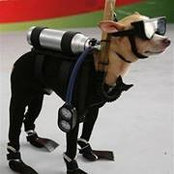 Dustin Heindl's photo