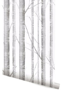 Birch Tree Wallpaper, 24"