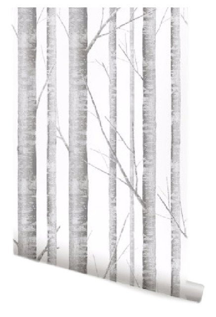 Birch Tree Wallpaper, 24" - Contemporary - Wallpaper - by Simple Shapes