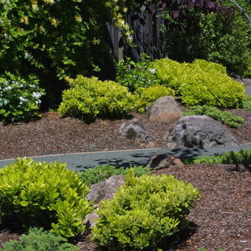 Cupertino, California