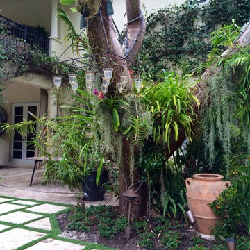 Modern Tropical Design - Coral Gables, FL