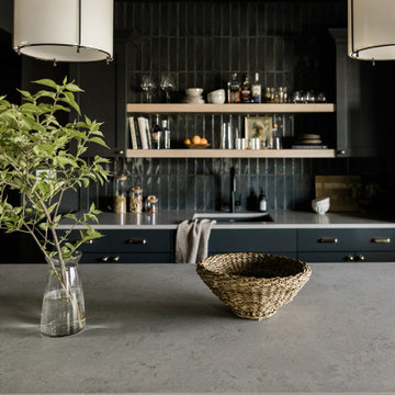 Sophisticated Basement Bar