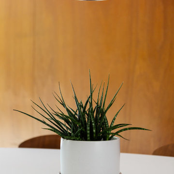 San Jose Eichler 5