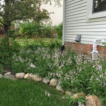 Native Perennial Gardens