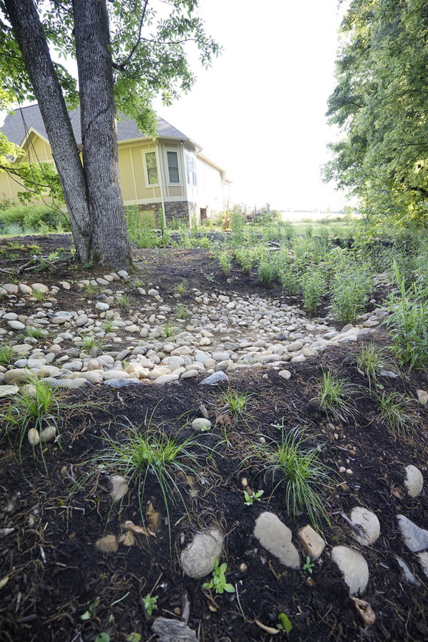 French Broad Rain Garden