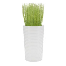 Indoor Planters