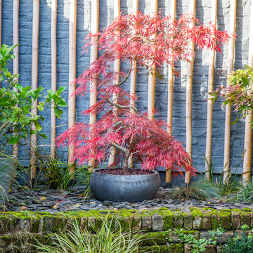 JARDIN JAPONAIS