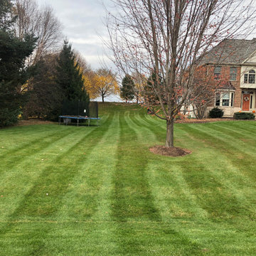 Fall Yard Cleanup, Leaf Removal, and Mowing — Before & After