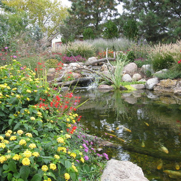 Koi Ponds and Water Gardens