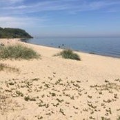 Heather Hanson's photo