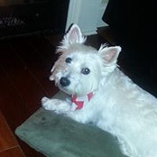 Kelley Salamone's photo
