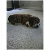 Michael Gatt's photo